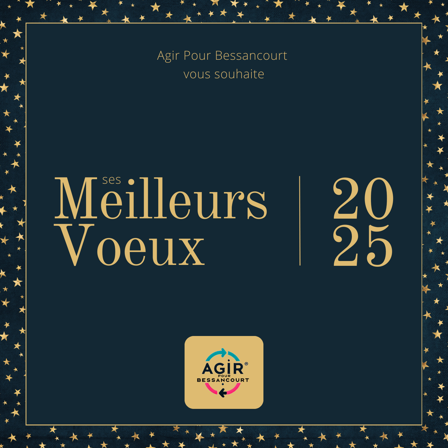 MES VŒUX 2025 !